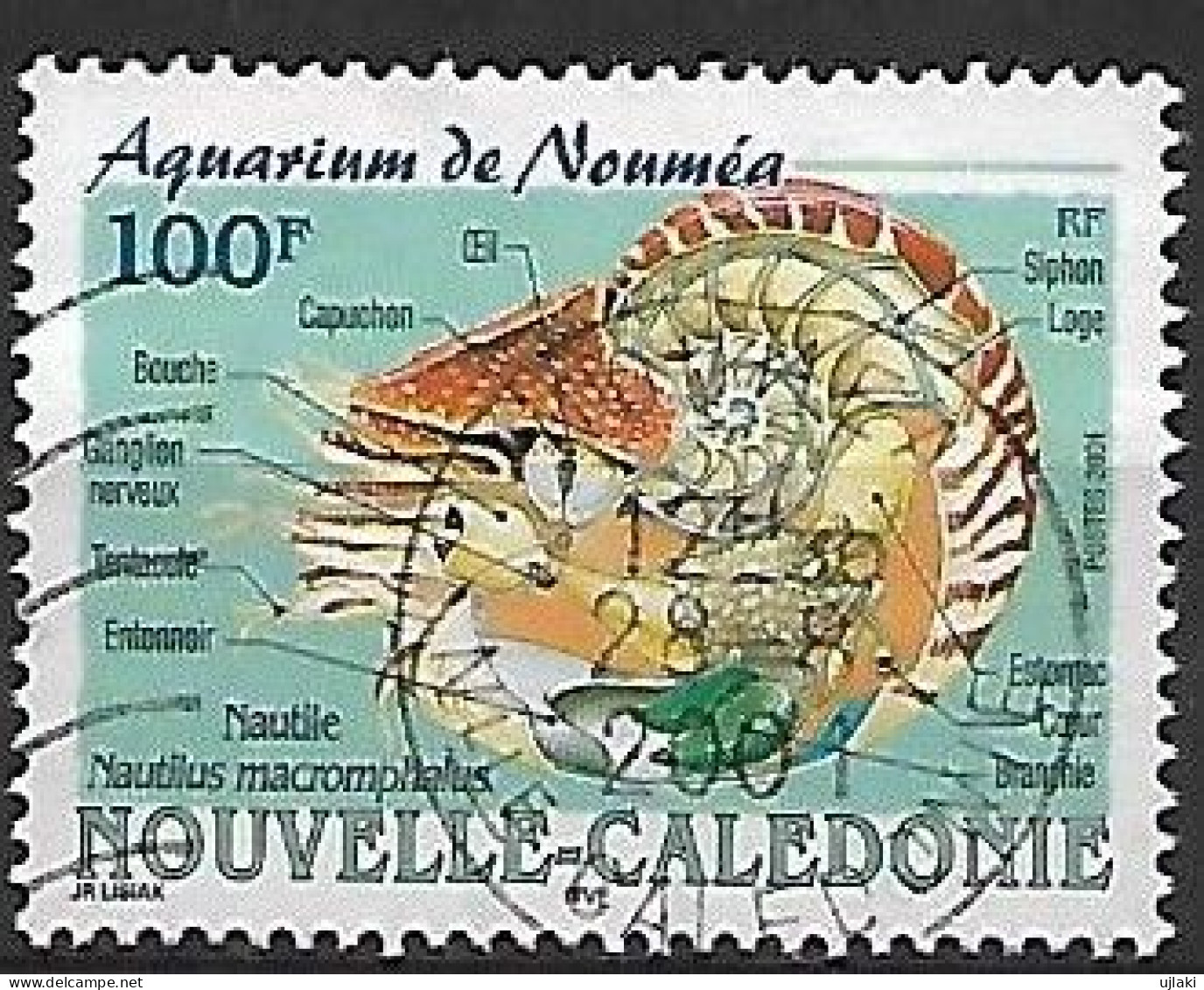 NOUVELLE CALEDONIE: Aquarium De Nouméa:Nautile   N°841  Année:2001. - Gebraucht