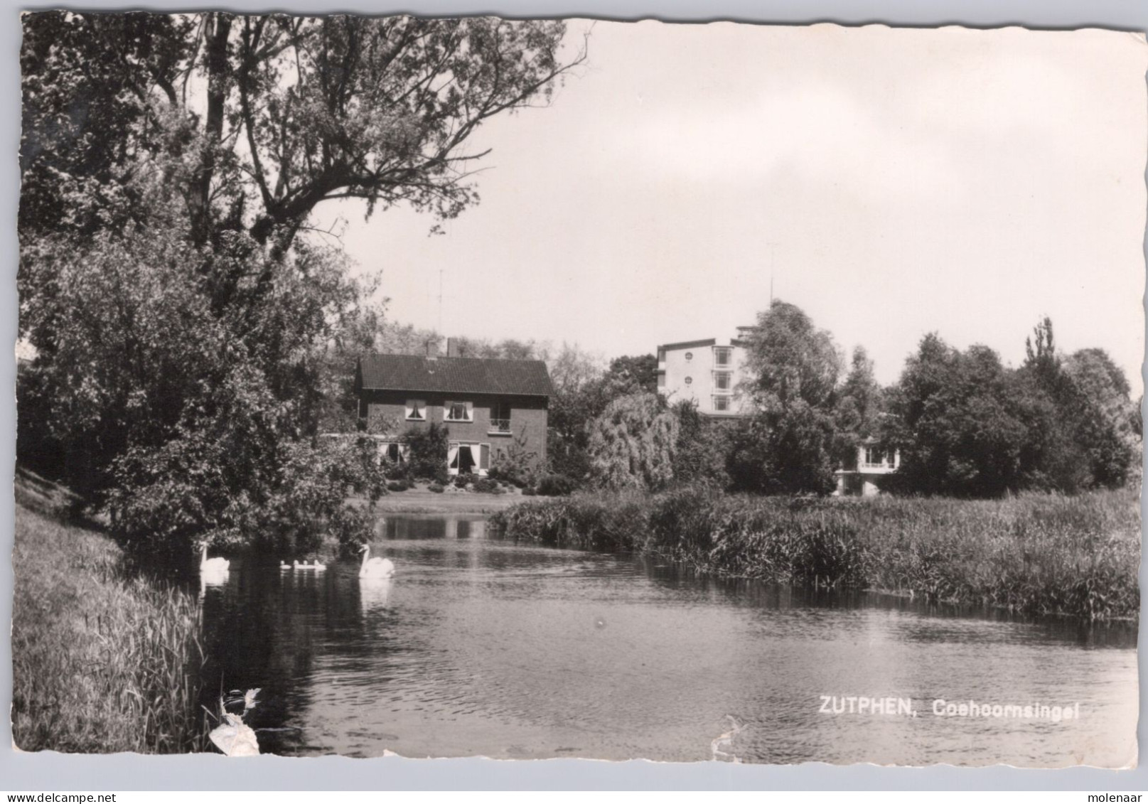 Postkaarten > Europa > Nederland > Gelderland > Zutphen Coehhoornsingel  Gebruikt 1967 (13556) - Zutphen