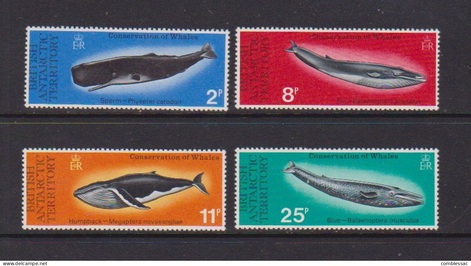 BRITISH  ANTARCTIC  TERRITORY    1977    Whale  Preservation    Set  Of  4    MH - Neufs