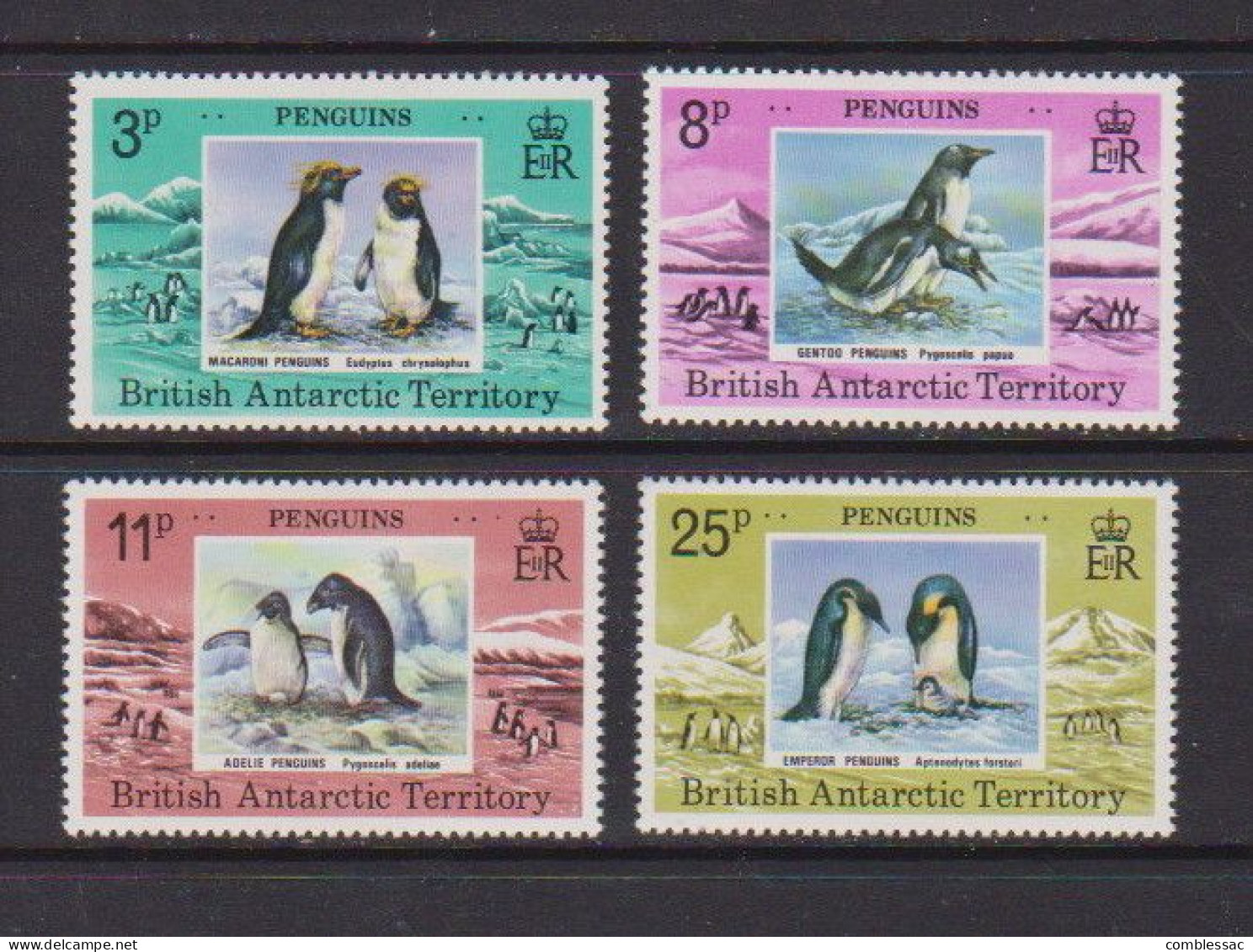 BRITISH  ANTARCTIC  TERRITORY    1979    Penguines    Set  Of  4    MH - Ungebraucht