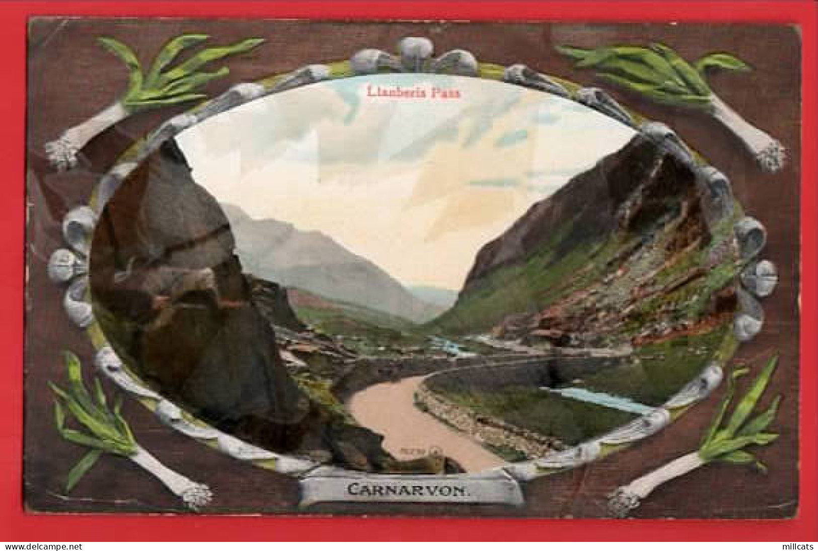 LLANBERIS PASS OVAL EMBOSSED VIEW WITH LEEKS Pu 1912 - Caernarvonshire