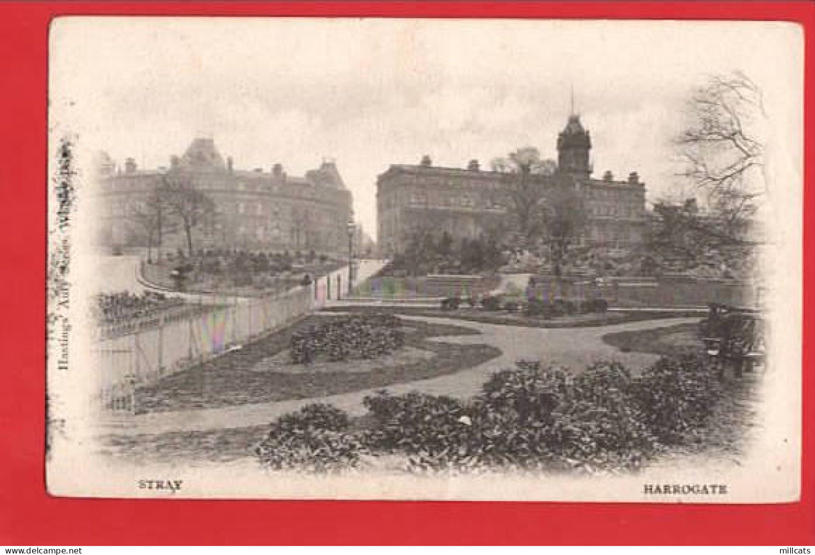 YORKSHIRE HARROGATE  STRAY    Pu 1905 - Harrogate