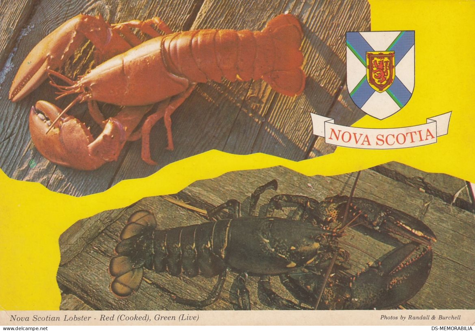 Lobster From Nova Scotia , Halifax 1974 - Andere & Zonder Classificatie