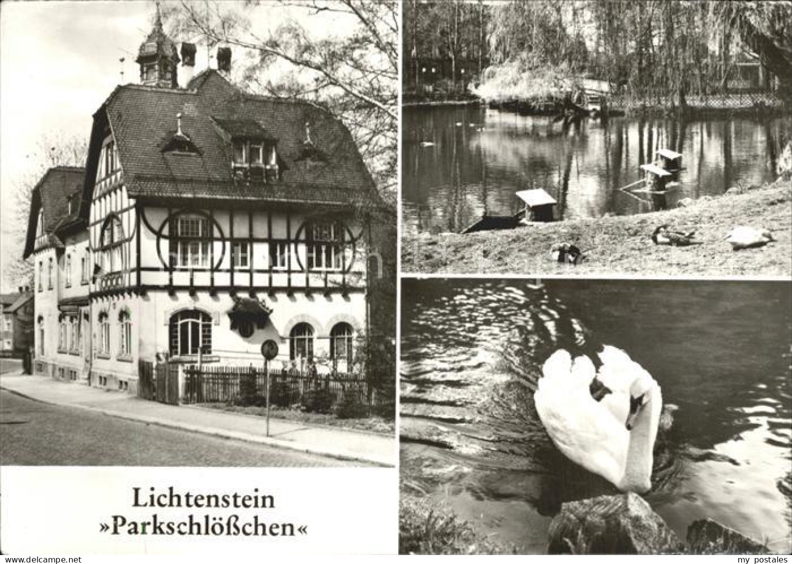 42277637 Lichtenstein Hohenstein-Ernstthal Parkschloesschen Schwanenteich Schwan - Hohenstein-Ernstthal