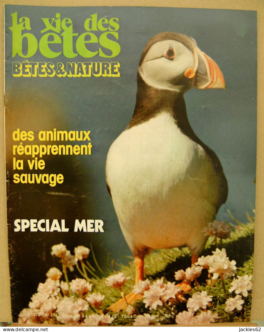 204/ LA VIE DES BETES / BETES ET NATURE N° 204 Du 7/1975, Voir Sommaire - Animaux