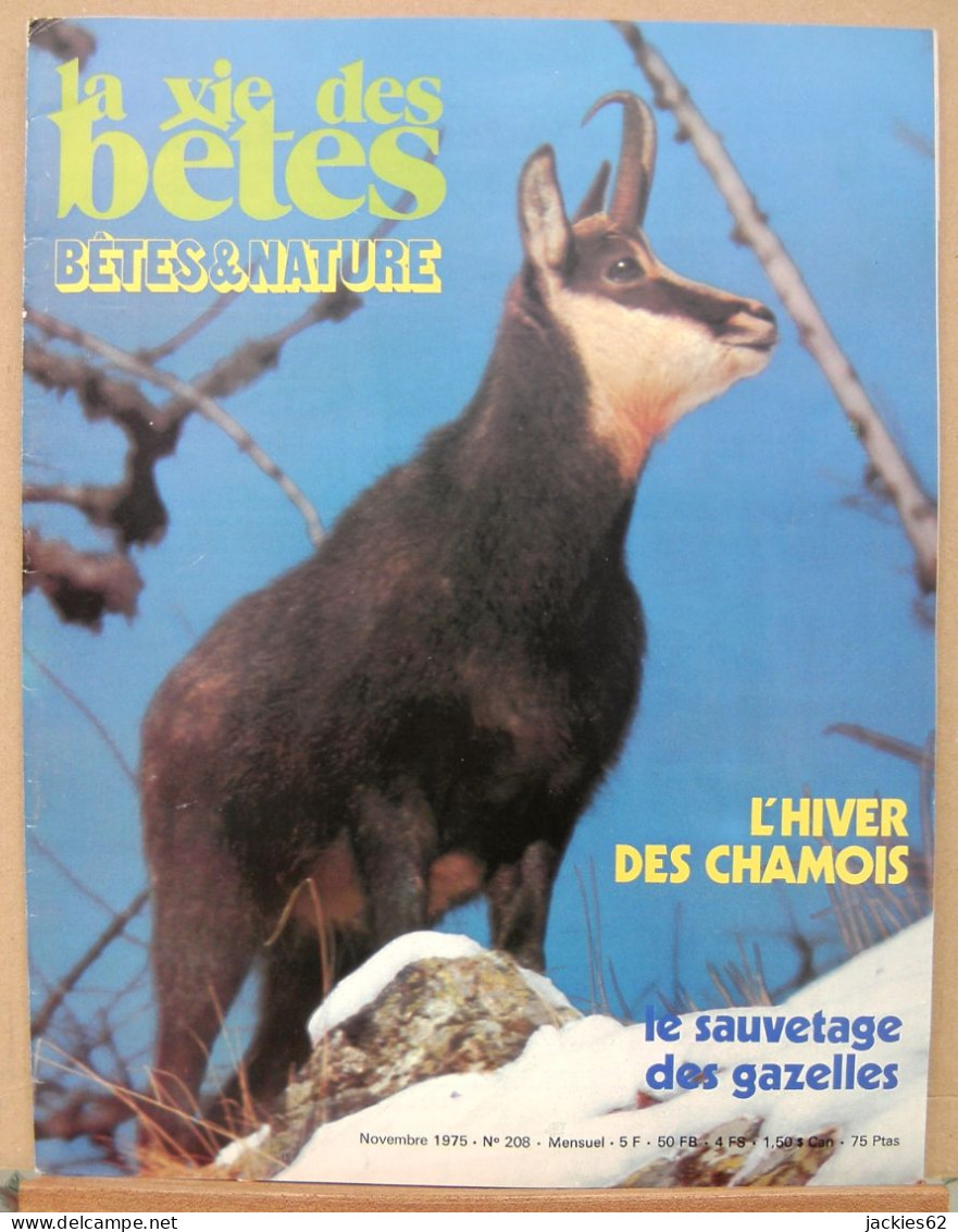 208/ LA VIE DES BETES / BETES ET NATURE N° 208 Du 11/1975, Voir Sommaire - Animals