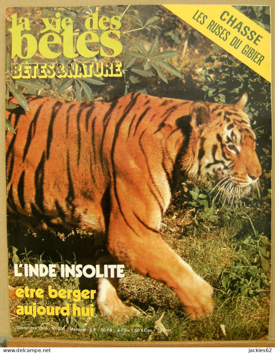 206/ LA VIE DES BETES / BETES ET NATURE N° 206 Du 9/1975, Voir Sommaire - Animaux