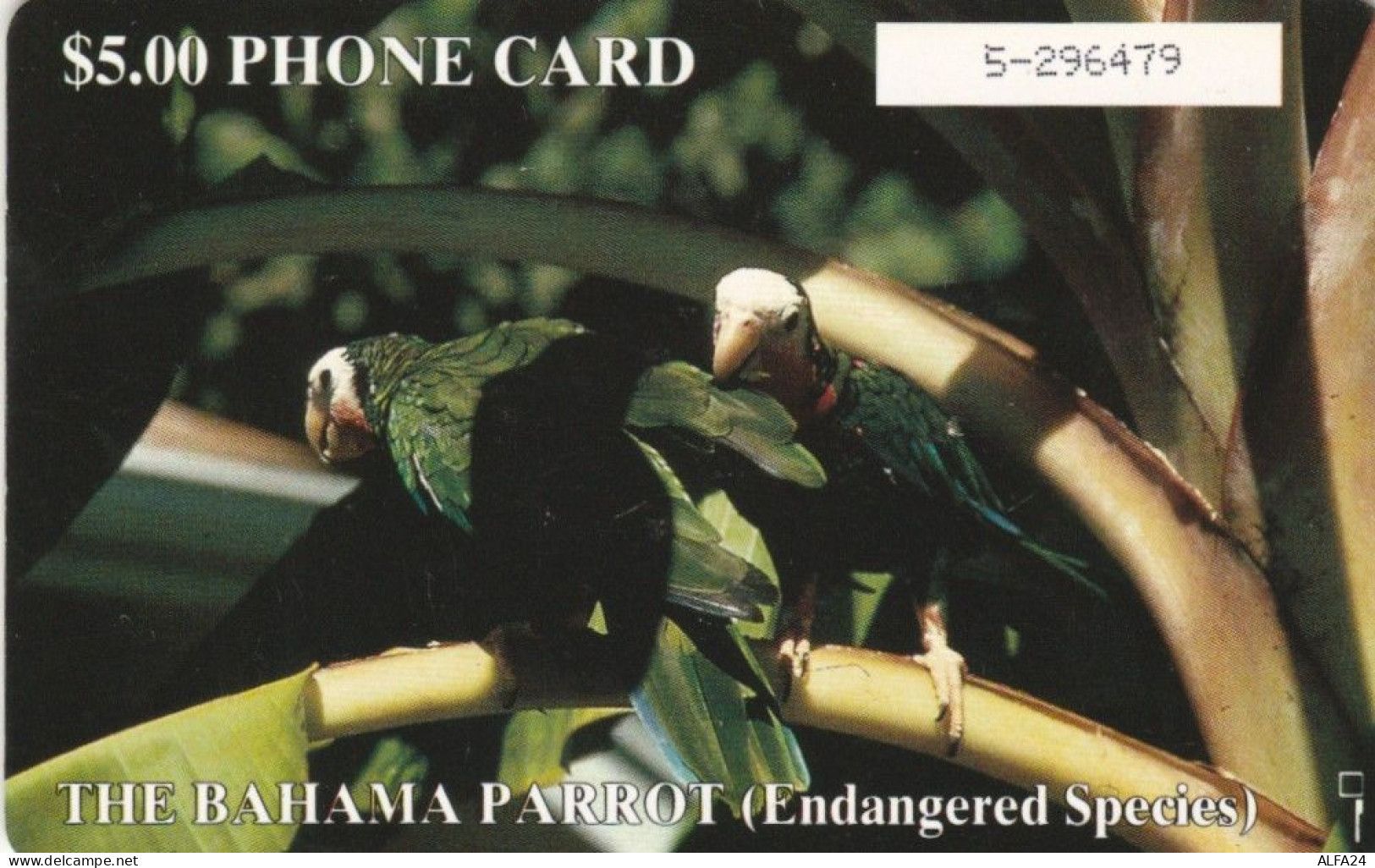 PHONE CARD-BAHAMAS (E48.16.6 - Bahama's