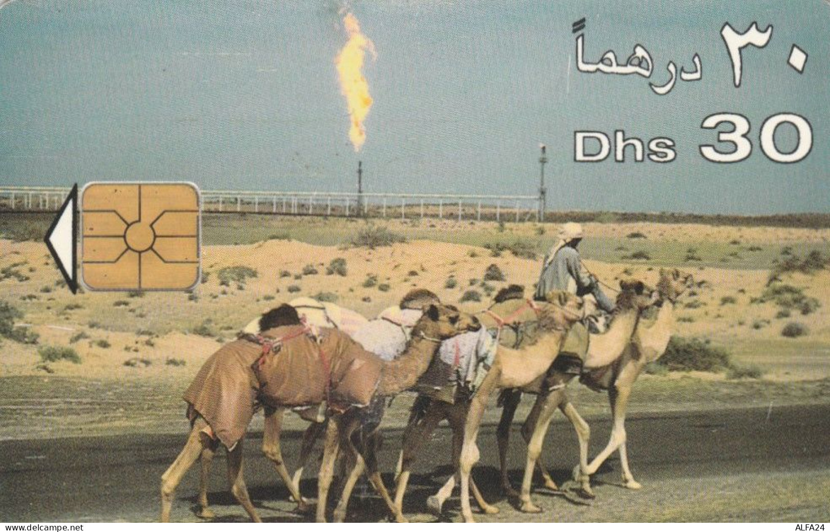 PHONE CARDS EMIRATI ARABI (E49.33.6 - Emirats Arabes Unis