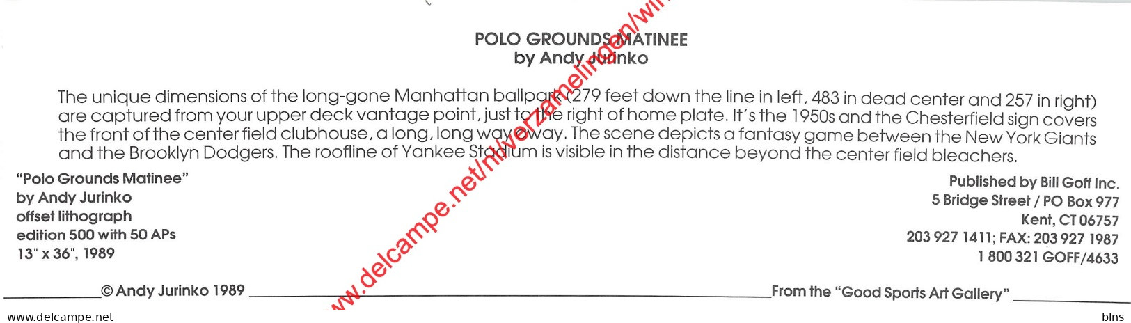 Polo Grounds Matinee By Andy Jurinko - Baseball - 23x7cm - Honkbal