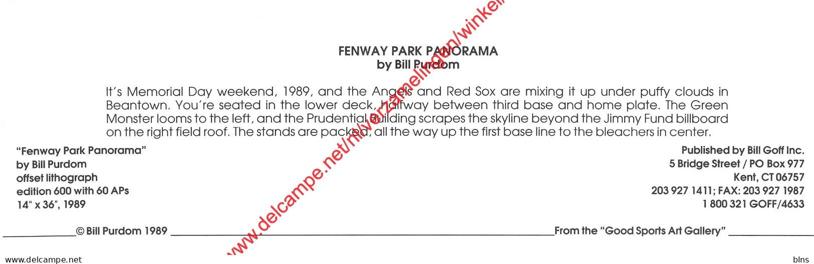 Fenway Park Panorama By Bill Purdom - Baseball - 23x7cm - Baseball