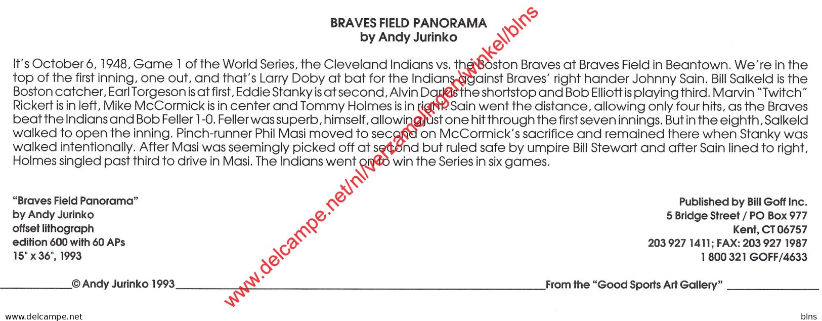 Braves Field Panorama By Andy Jurinko - Baseball - 23x9cm - Honkbal
