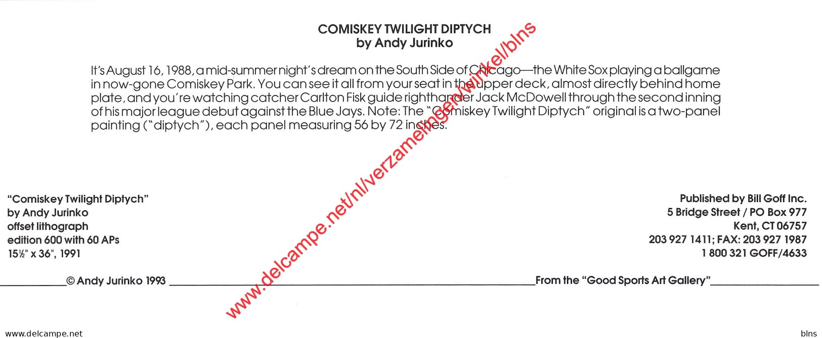 Comiskey Twilight Diptych By Andy Jurinko - Baseball - 23x9,5cm - Honkbal