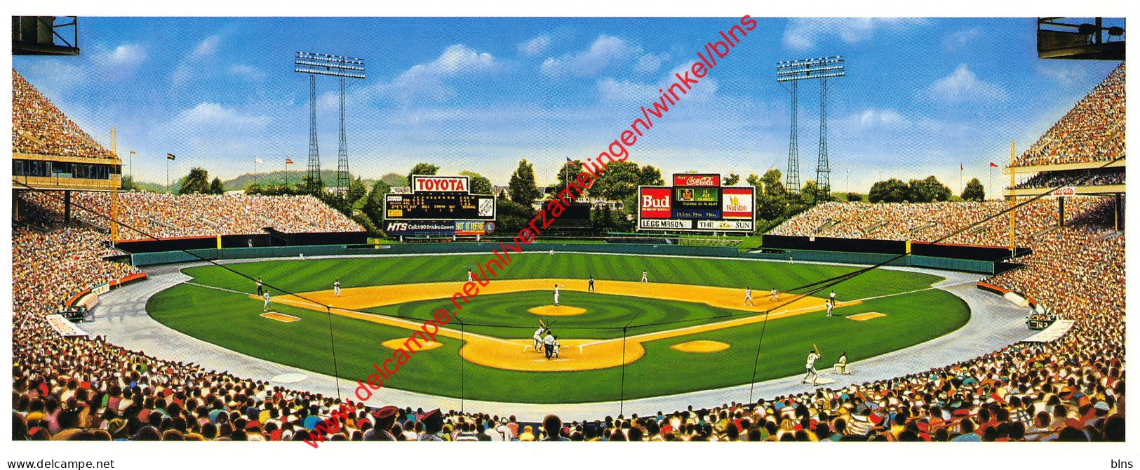 Baltimore Memorial Matinee By William Feldman - Baseball - 22x9cm - Baseball