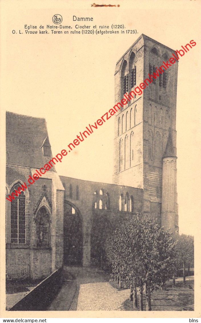 O.L.V. Kerk - Damme - Damme