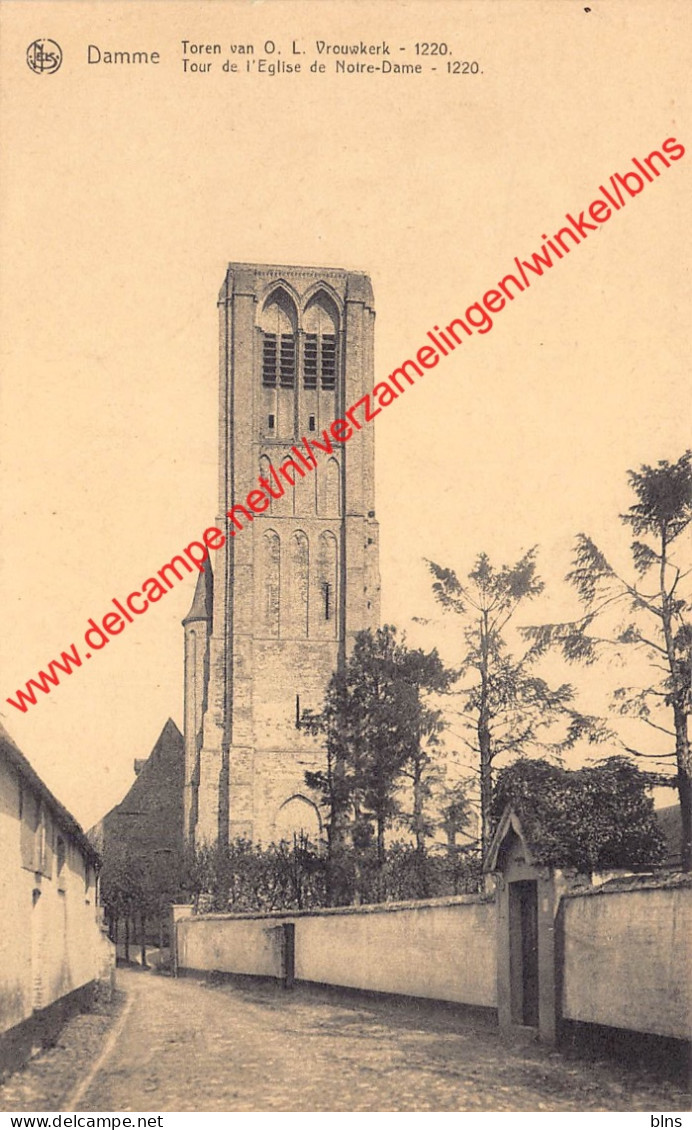 Toren Van O.L. Vrouwkerk - Damme - Damme