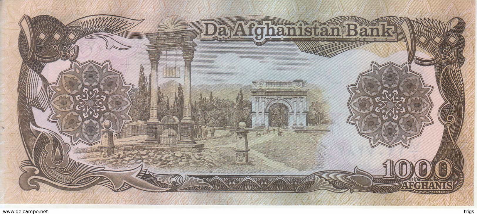 Afghanistan - 1000 Afghanis - Afghanistan