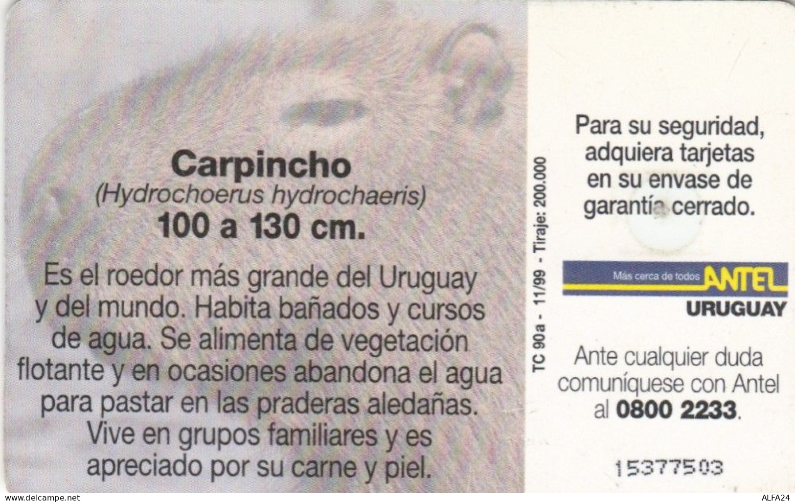 PHONE CARD URUGUAY (E51.30.8 - Uruguay