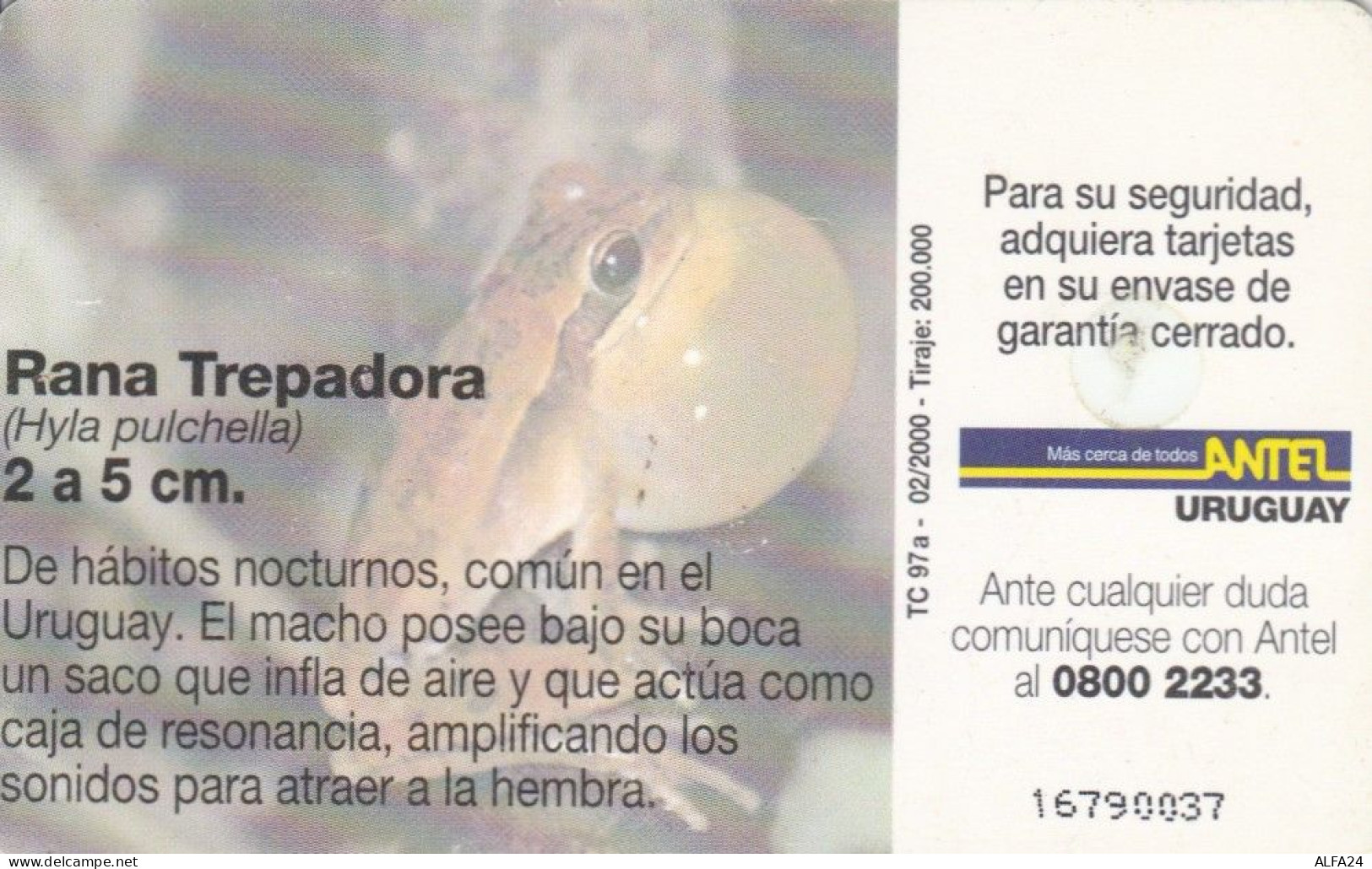 PHONE CARD URUGUAY (E51.23.7 - Uruguay