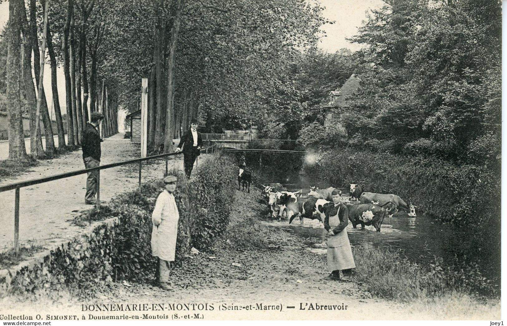 Cpa Donnemarie En Montois L'Abreuvoir - Donnemarie Dontilly