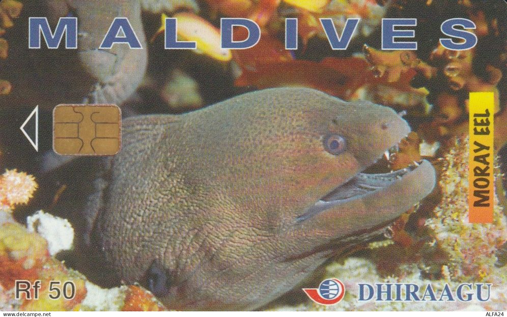 PHONE CARD MALDIVE (E52.6.1 - Maldive