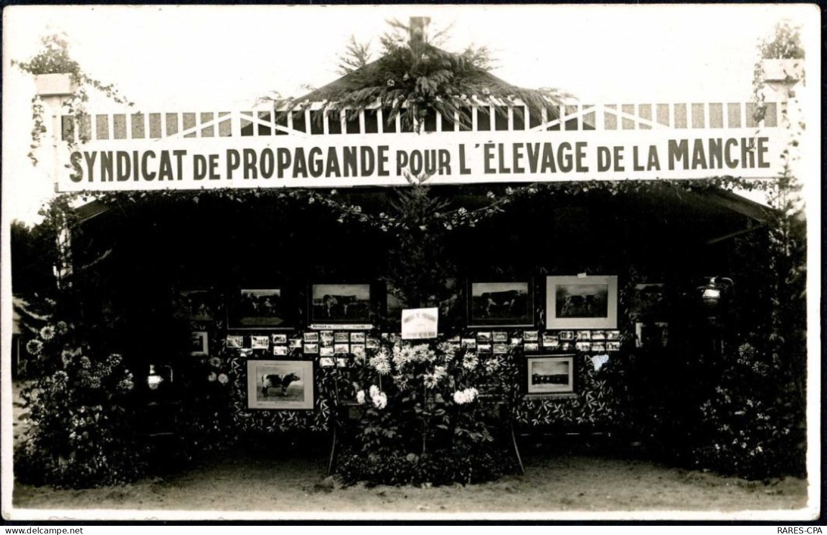 50 BRICQUEBEC - SYNDICAT DE PROPAGANDE POUR L'ELEVAGE DE LA MANCHE - CPA PHOTO - Bricquebec