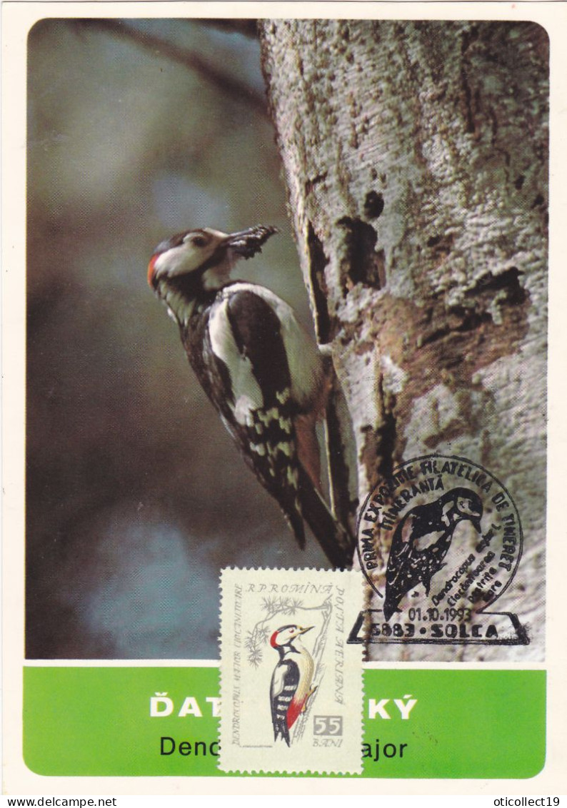 WOODPECKER, 1993 MAXI CARD,CARTES MAXIMUM,ROMANIA, - Pics & Grimpeurs