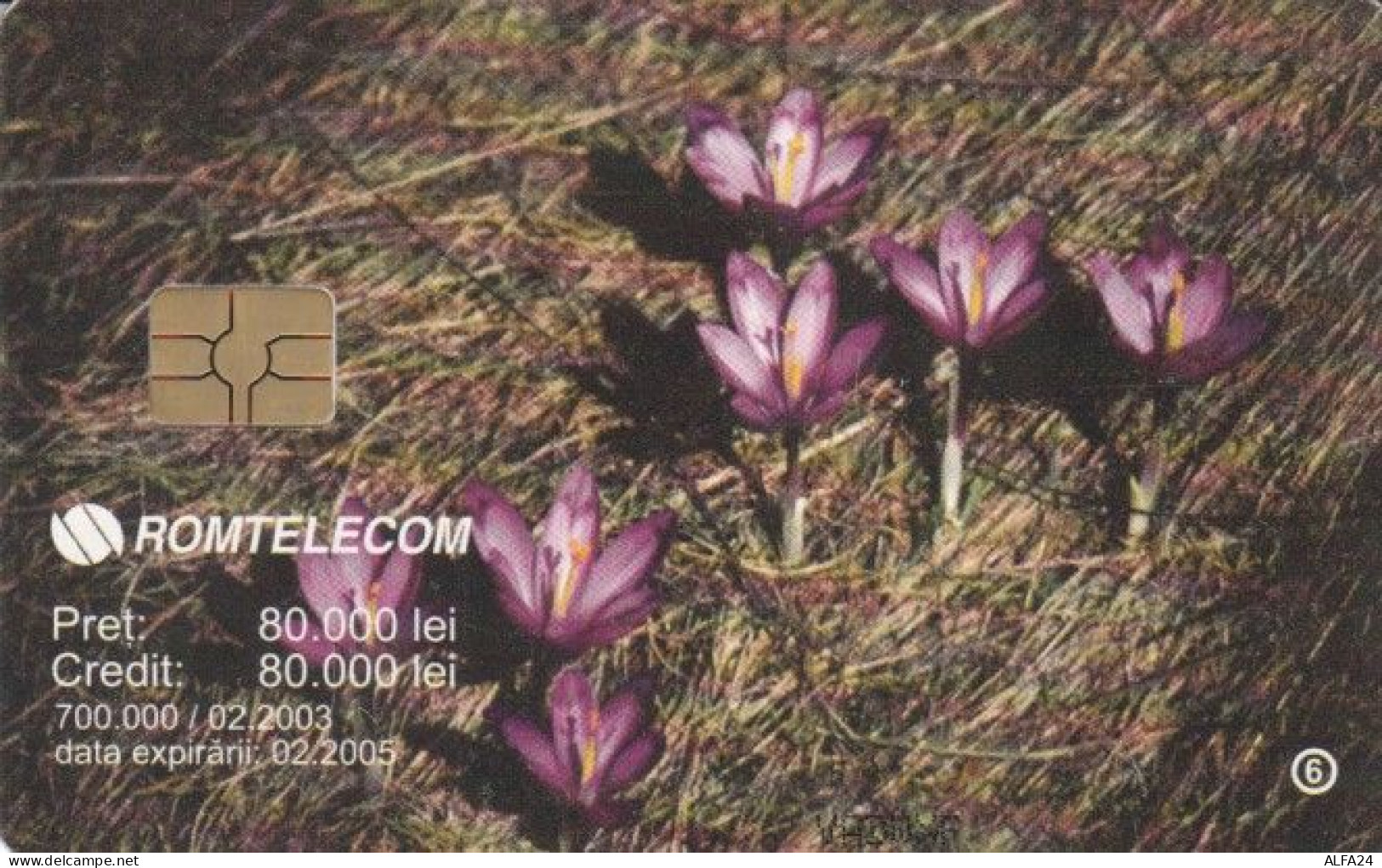 PHONE CARD ROMANIA (E55.12.2 - Rumänien