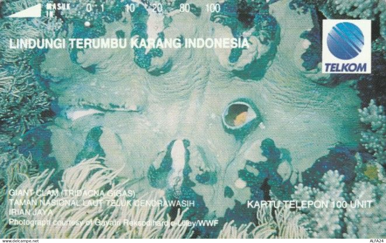 PHONE CARD INDONESIA (E58.14.5 - Indonesia