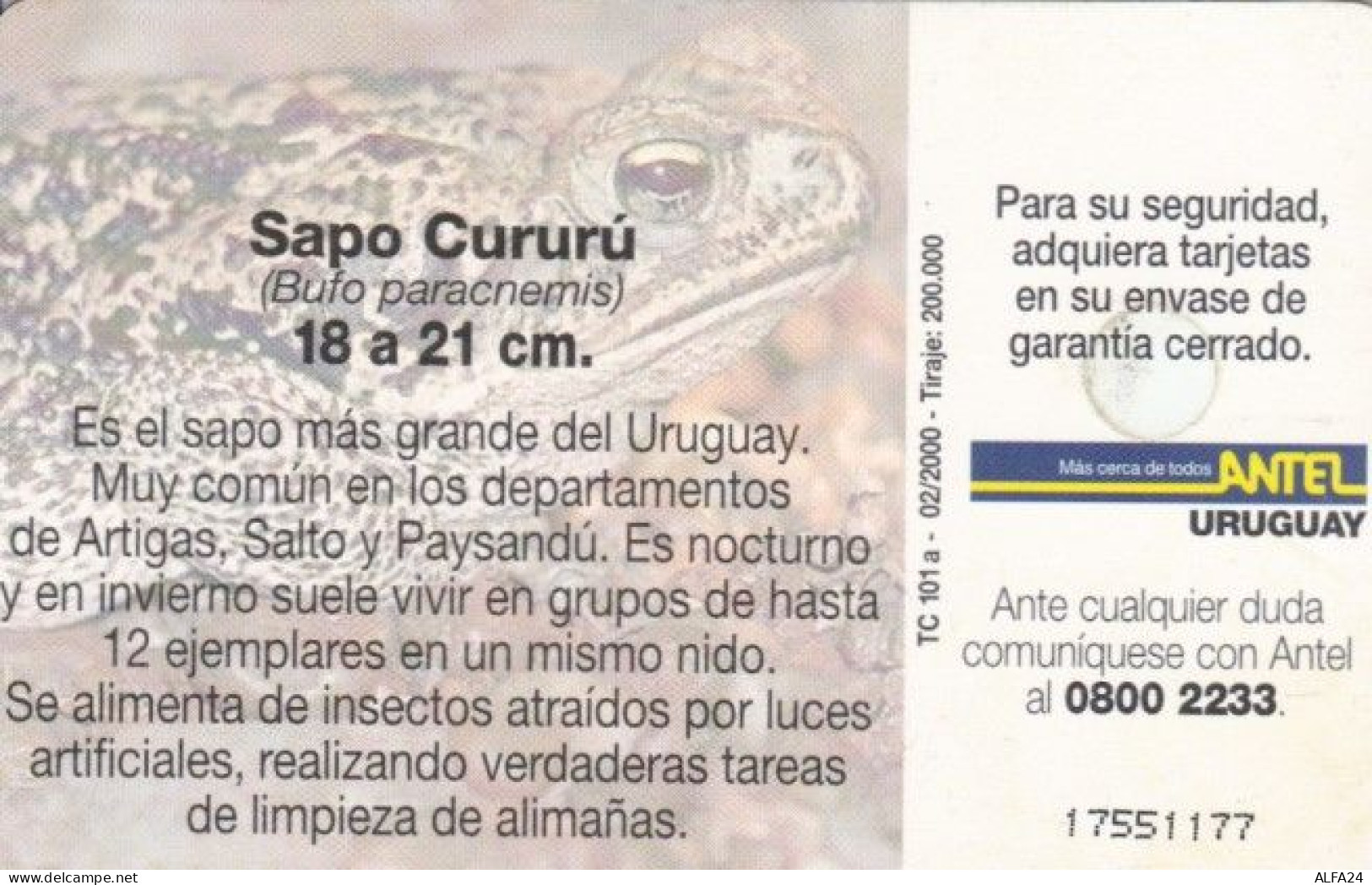 PHONE CARD URUGUAY (E58.9.7 - Uruguay