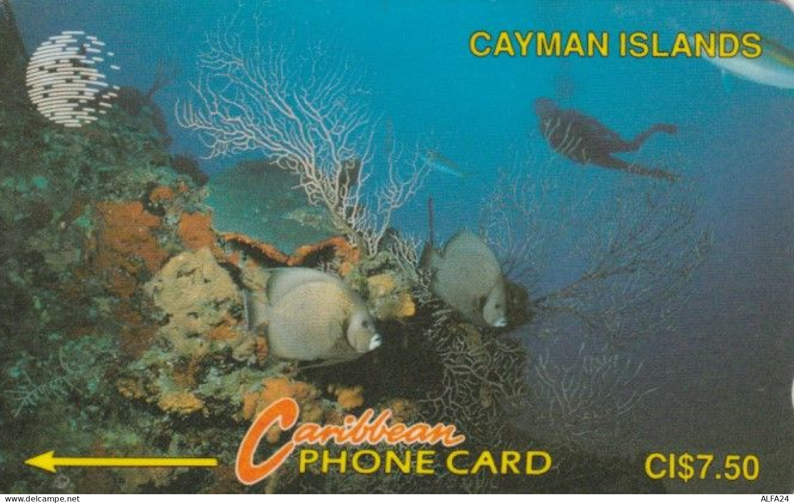 PHONE CARD CAYMAN (E58.8.3 - Iles Cayman