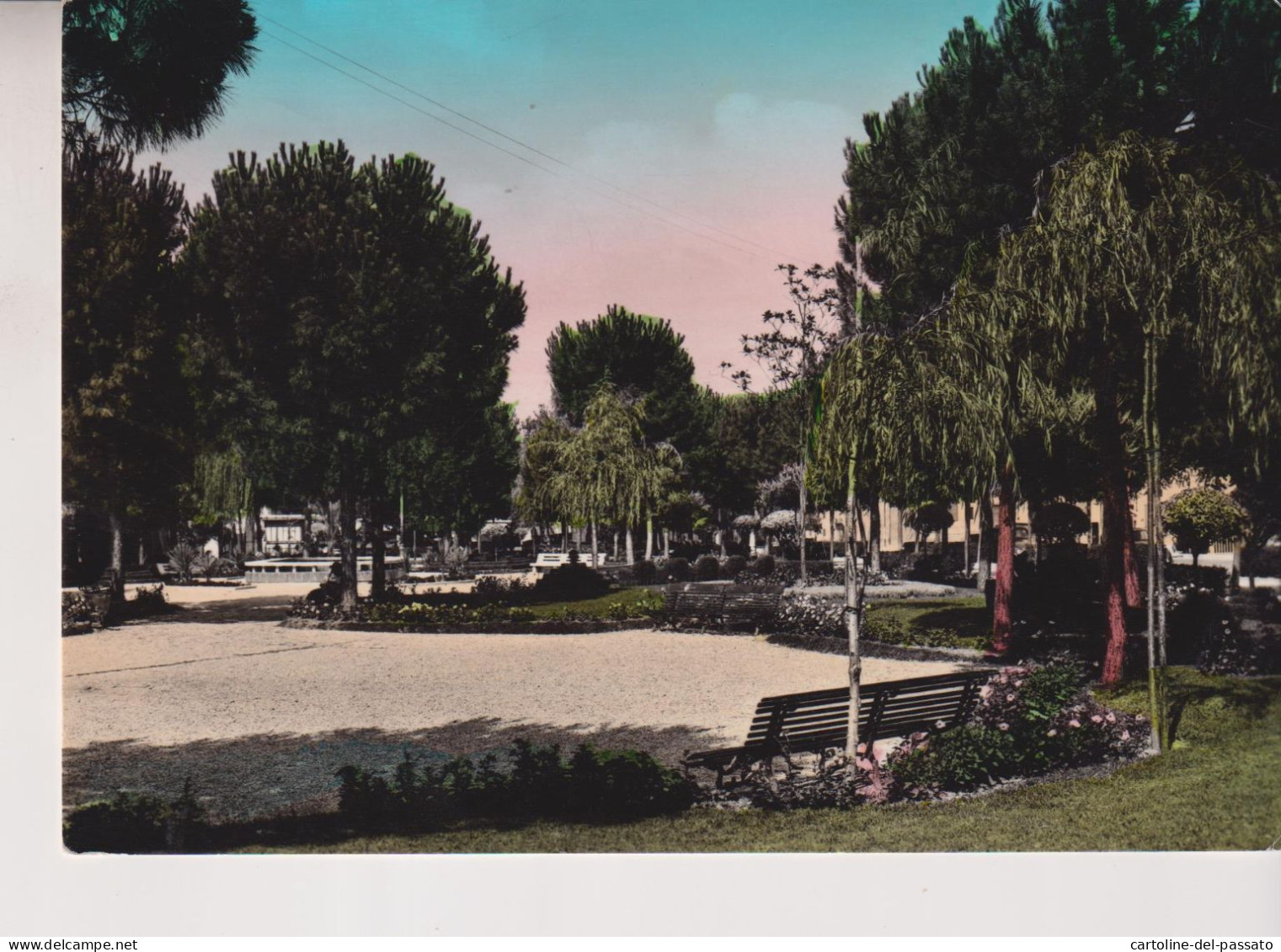 SENIGALLIA   ANCONA  GIARDINI CATALANI  VG 1956 - Senigallia