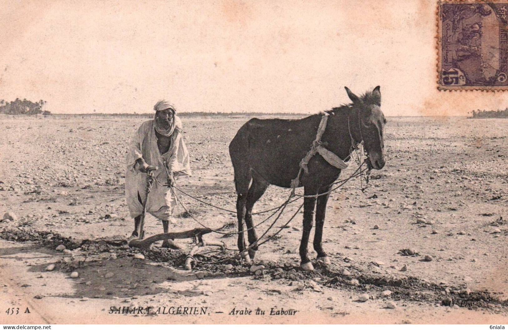 21 093 SAHARA ALGERIEN   Arabe Au Labour   ( 2 Scans) - Professioni