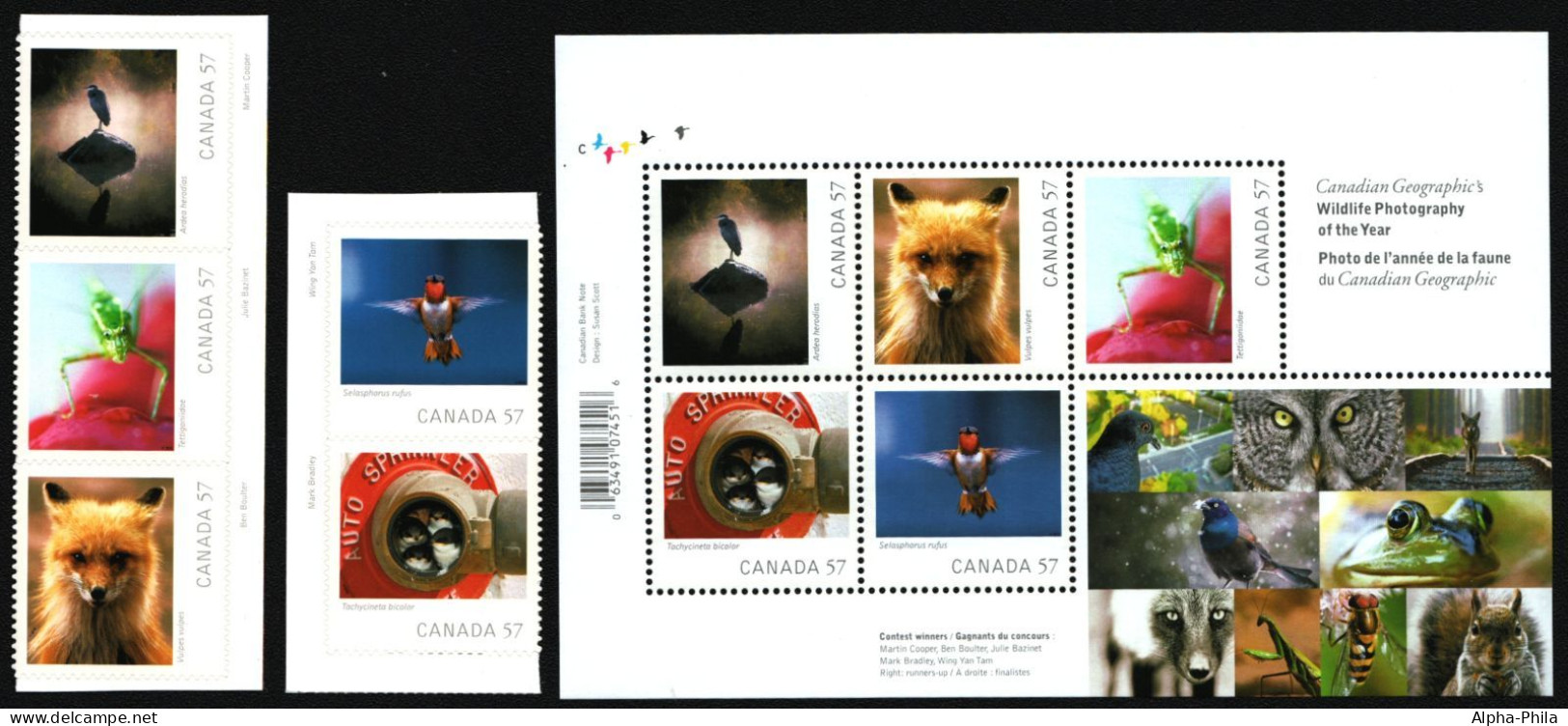 Kanada 2010 - Mi-Nr. 2643-2647 & Block 129 ** - MNH - Fauna - Unused Stamps