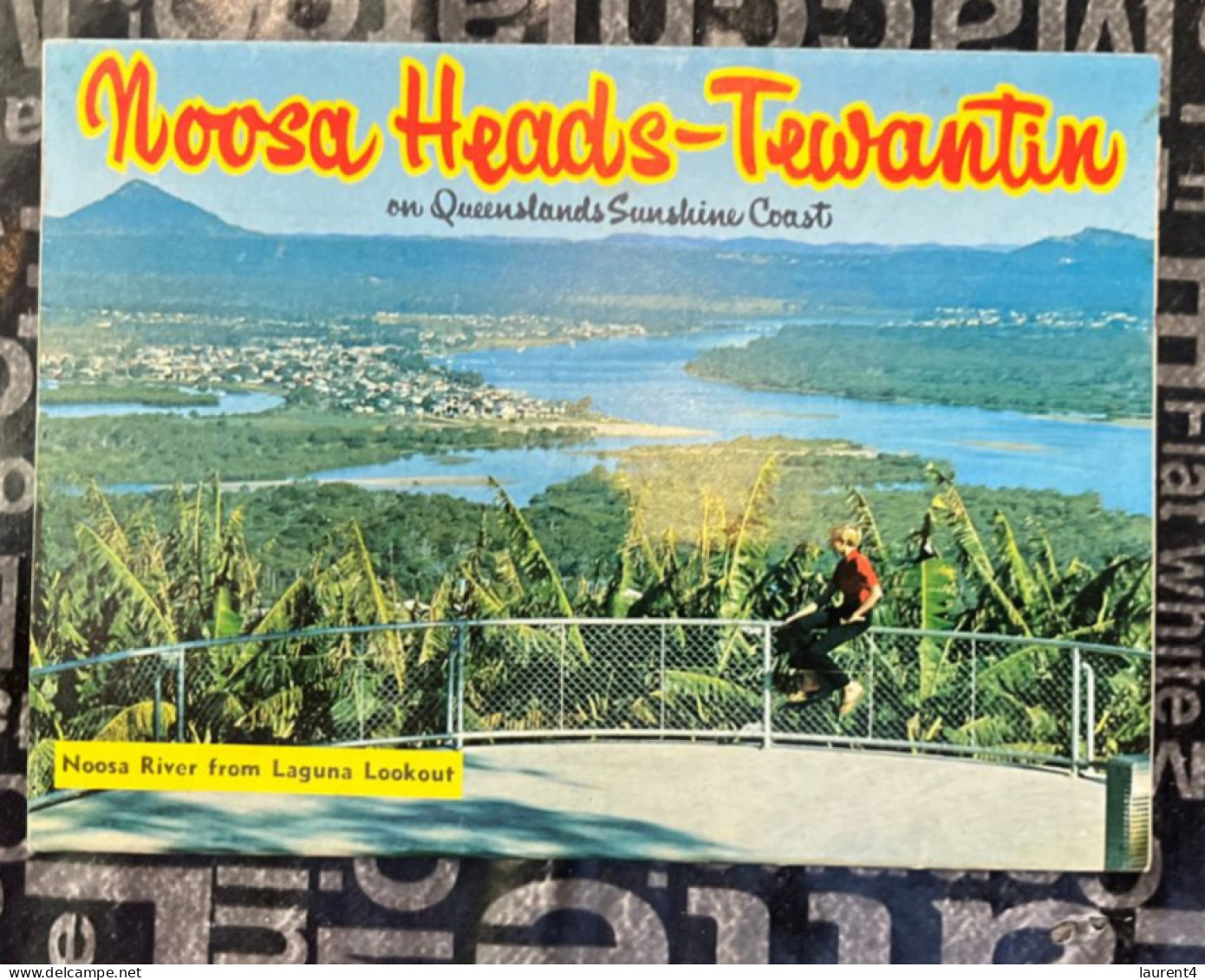 29-12-2023 (Folder) Australia - QLD - Noosa Head & Tewantin - Sunshine Coast