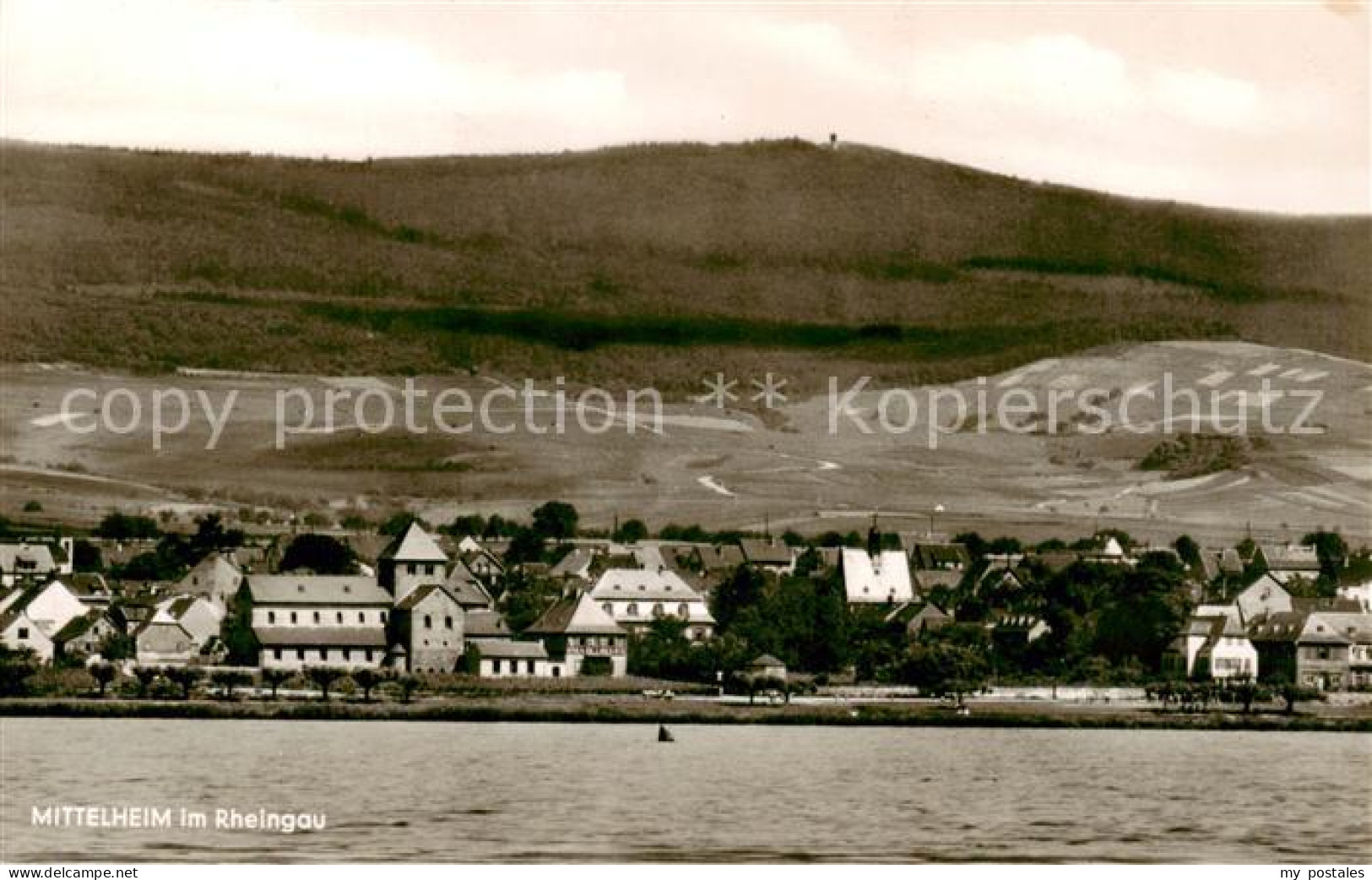 73832459 Mittelheim Rheingau Blick Ueber Den Rhein Mittelheim Rheingau - Oestrich-Winkel