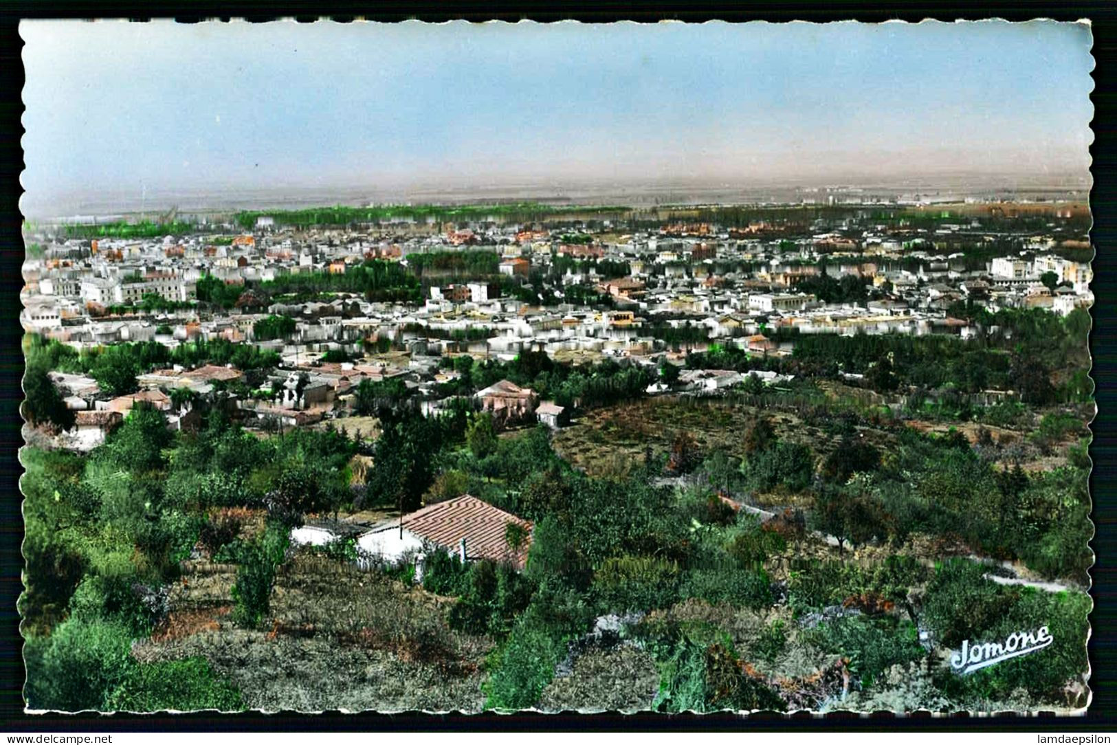 A65  ALGERIE CPA  BLIDA - VUE GENERALE - Collections & Lots