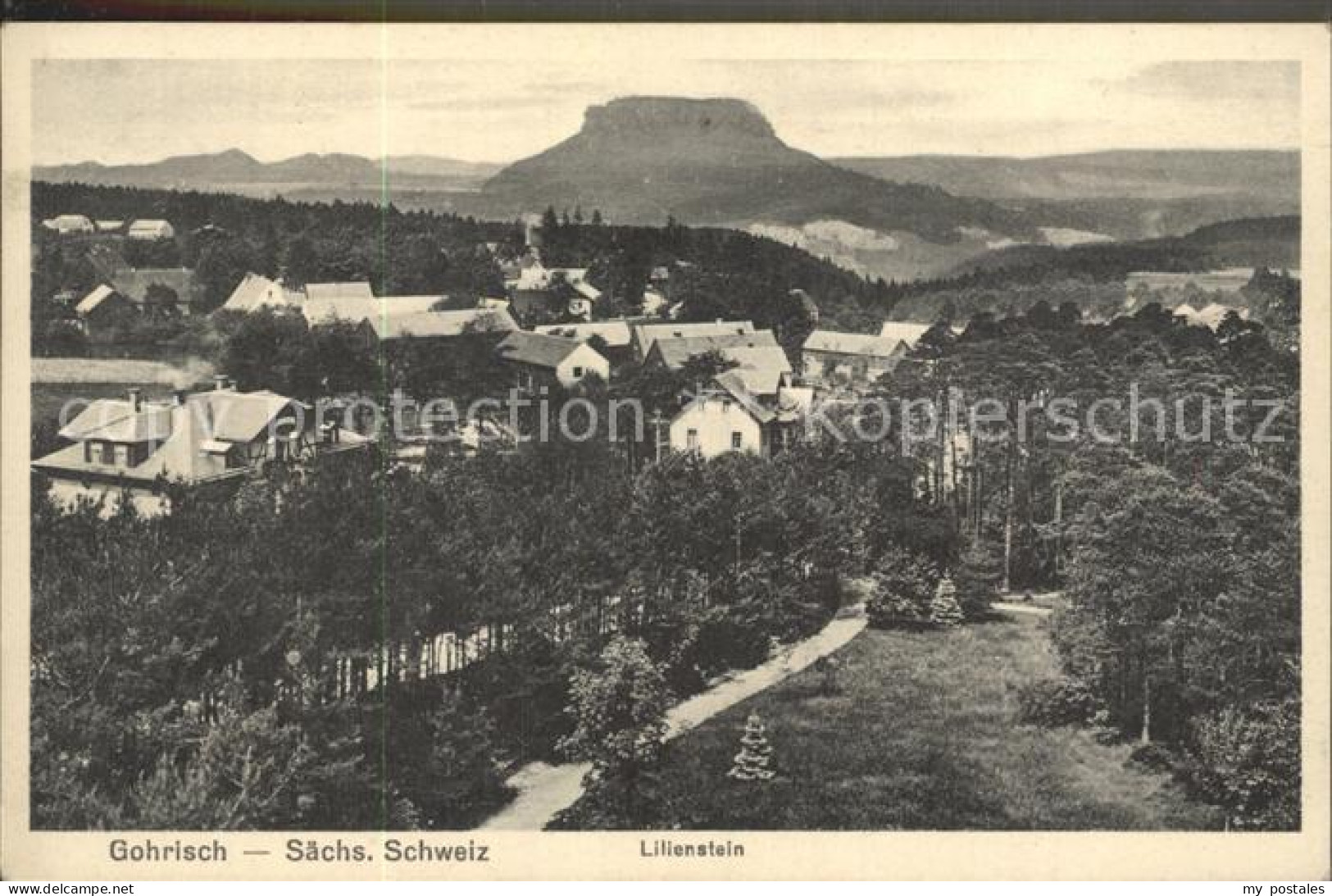 42251453 Gohrisch Mit Lilienstein Gohrisch - Gohrisch