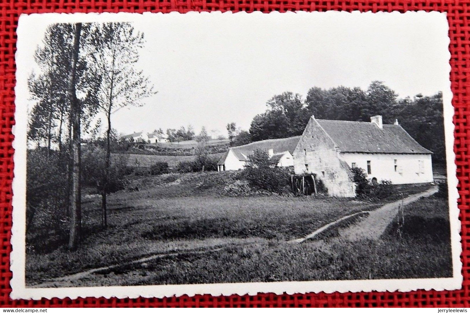 OHAIN  -  Le Vieux Moulin - Lasne