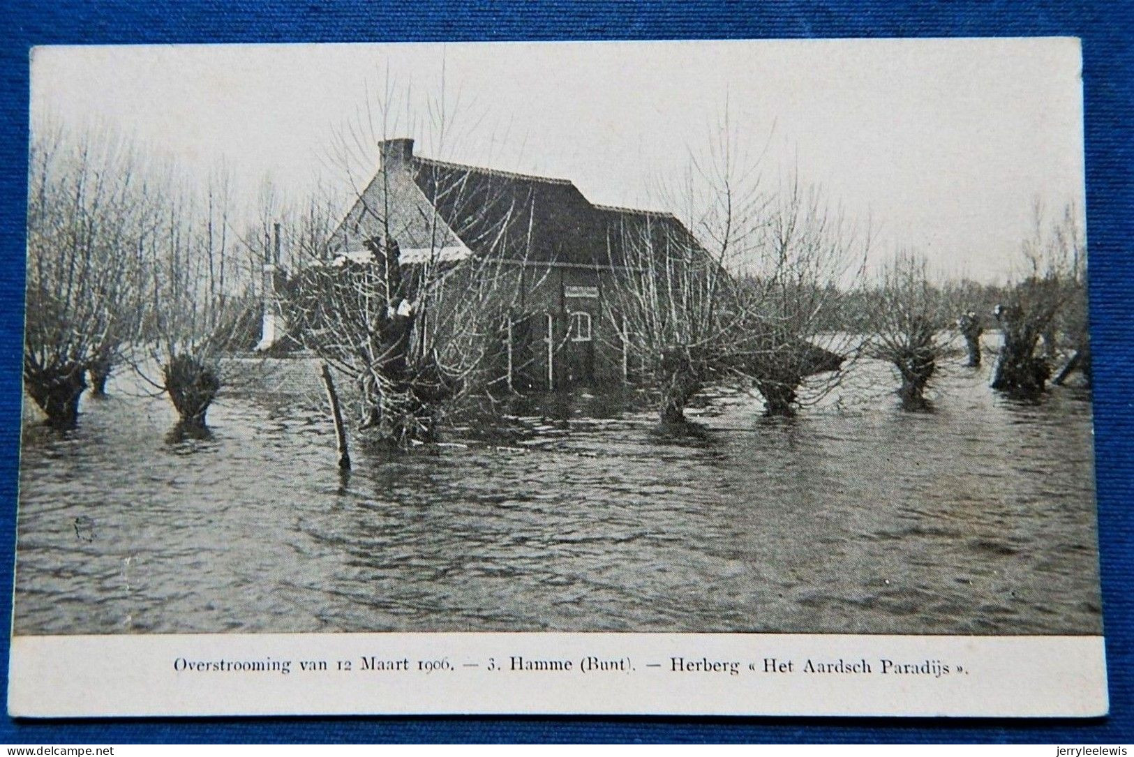 HAMME   - Overstroming Van 12 Maart 1906 -  Herberg " Het Aardsch Paradijs " - Hamme