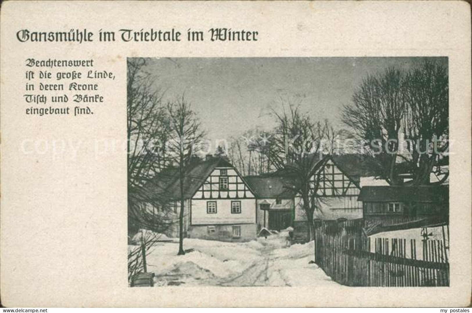 42247573 Trieb Falkenstein Vogtland Gansmuehle Im Triebtale Winteridyll Trieb Fa - Falkenstein (Vogtland)