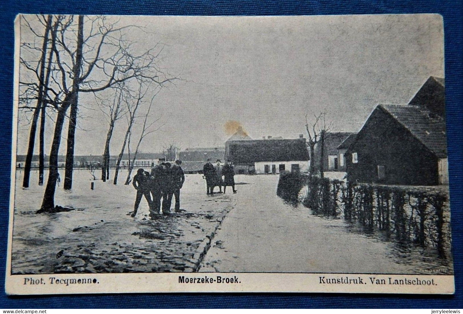 MOERZEKE - Broek  -  (Overstromingen Van Grembergen, Moerzeke , Hamme ) - Hamme