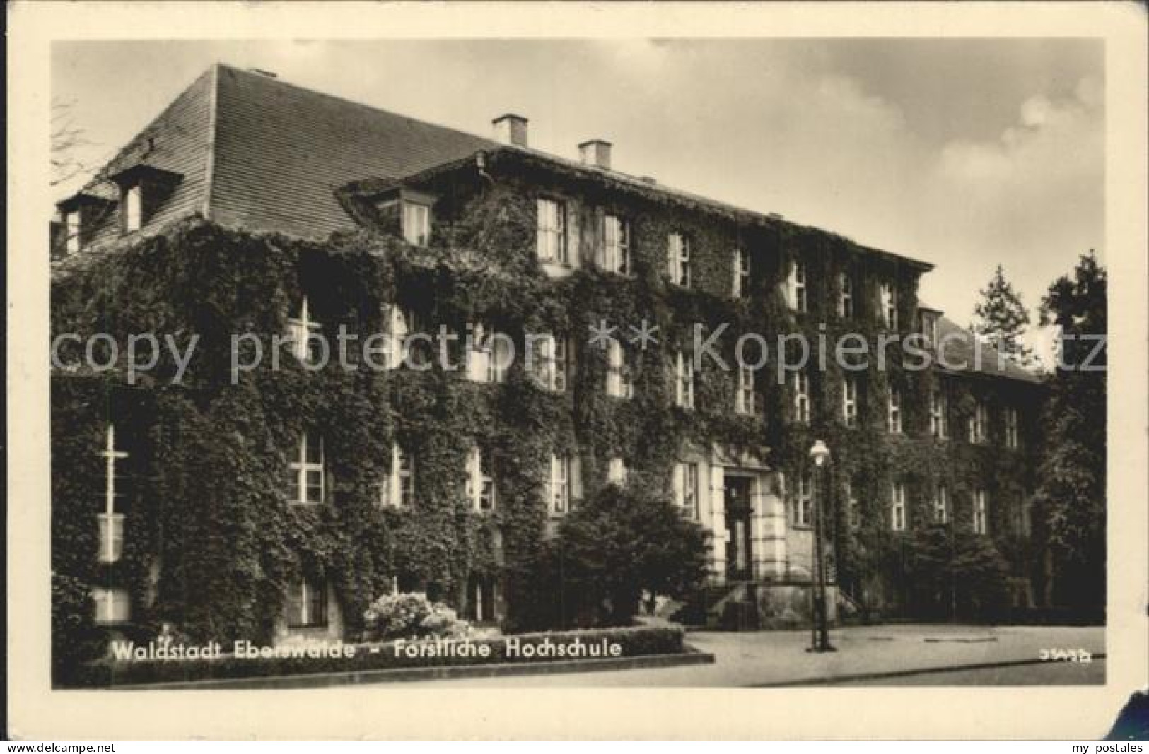 42246689 Eberswalde Forstliche Hochschule Eberswalde - Eberswalde