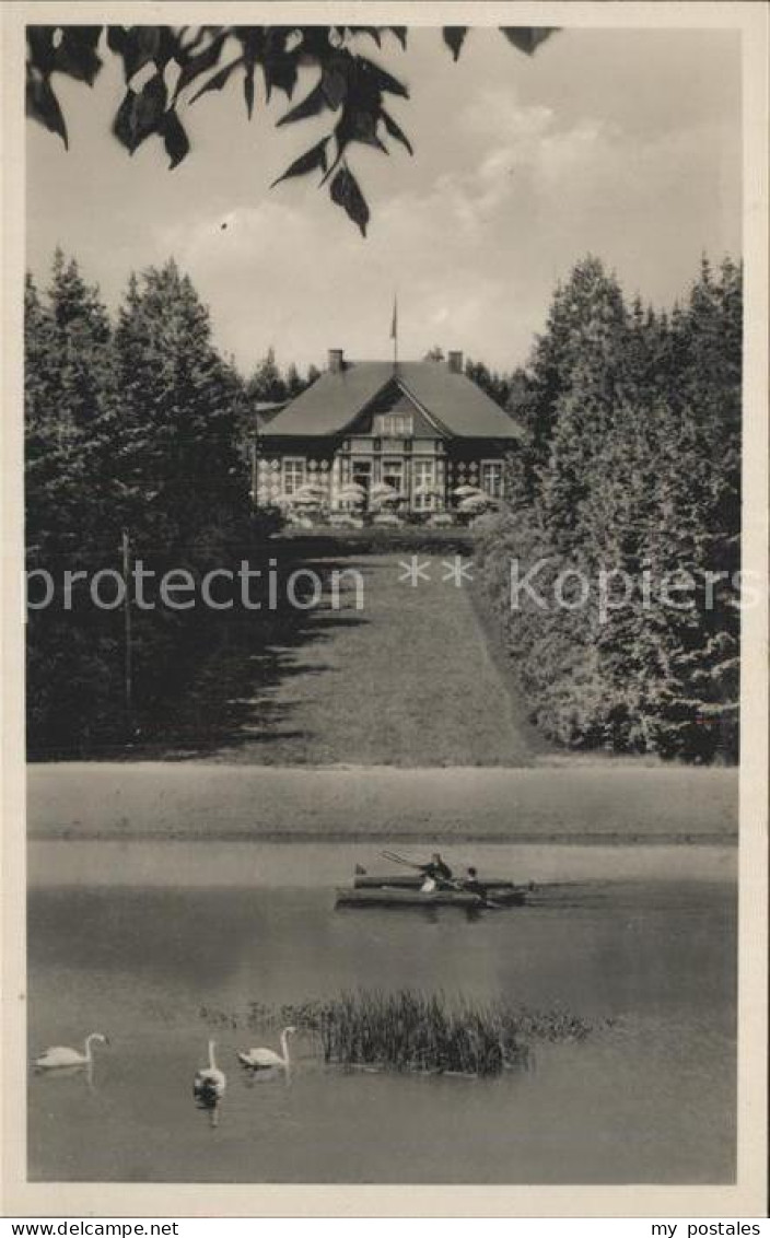 42245840 Falkenstein Vogtland Naturpark Irrgang Schwanenteich Falkenstein Vogtla - Falkenstein (Vogtland)