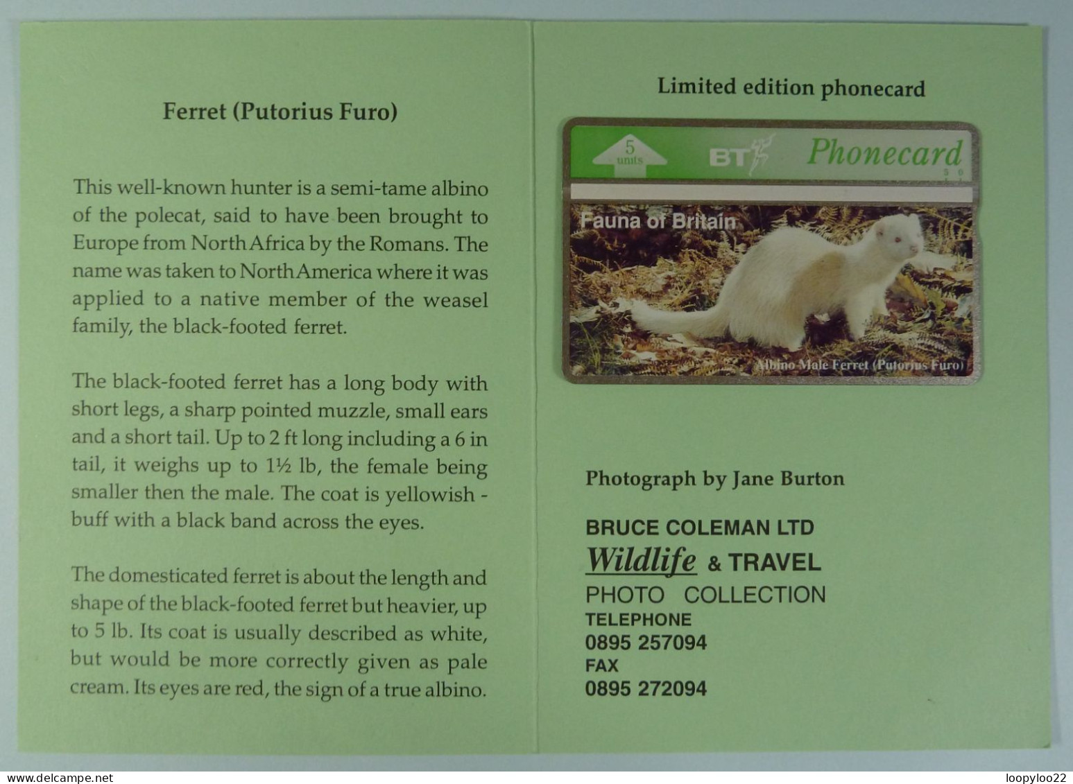 UK - BT - L&G - Fauna Of Britain - Ferret - BTG241 - 402E - 500ex - Limited Edition - Mint In Folder - BT Allgemeine