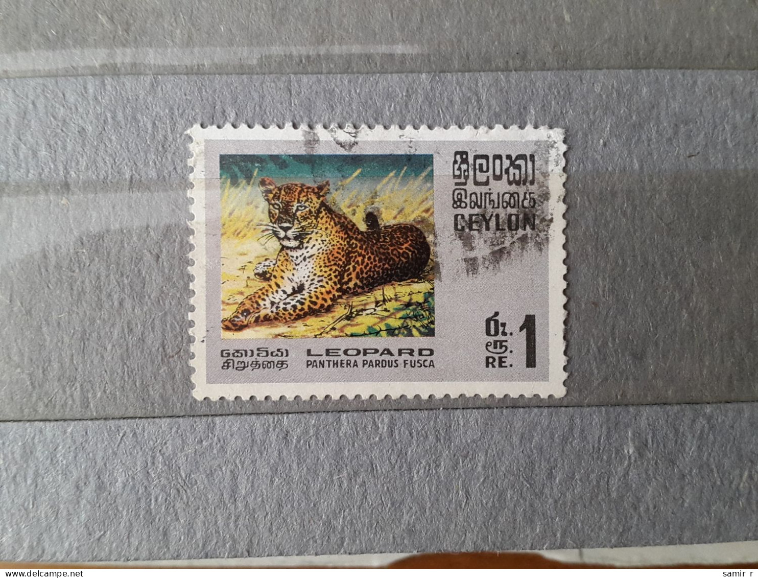 1970	Ceylon	Leopard (F76) - Used Stamps