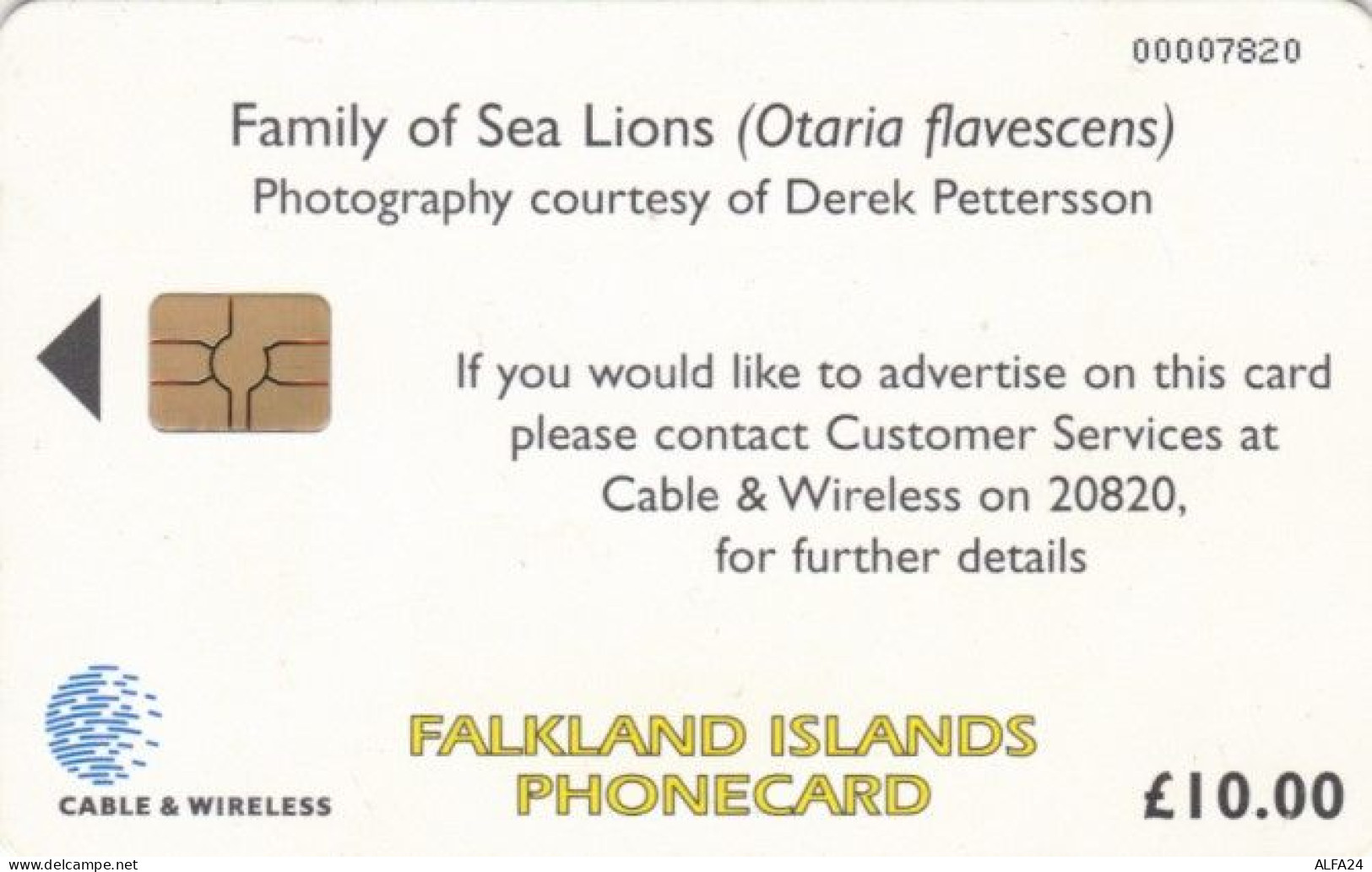 PHONE CARD FALKLAND (E59.22.2 - Falkland