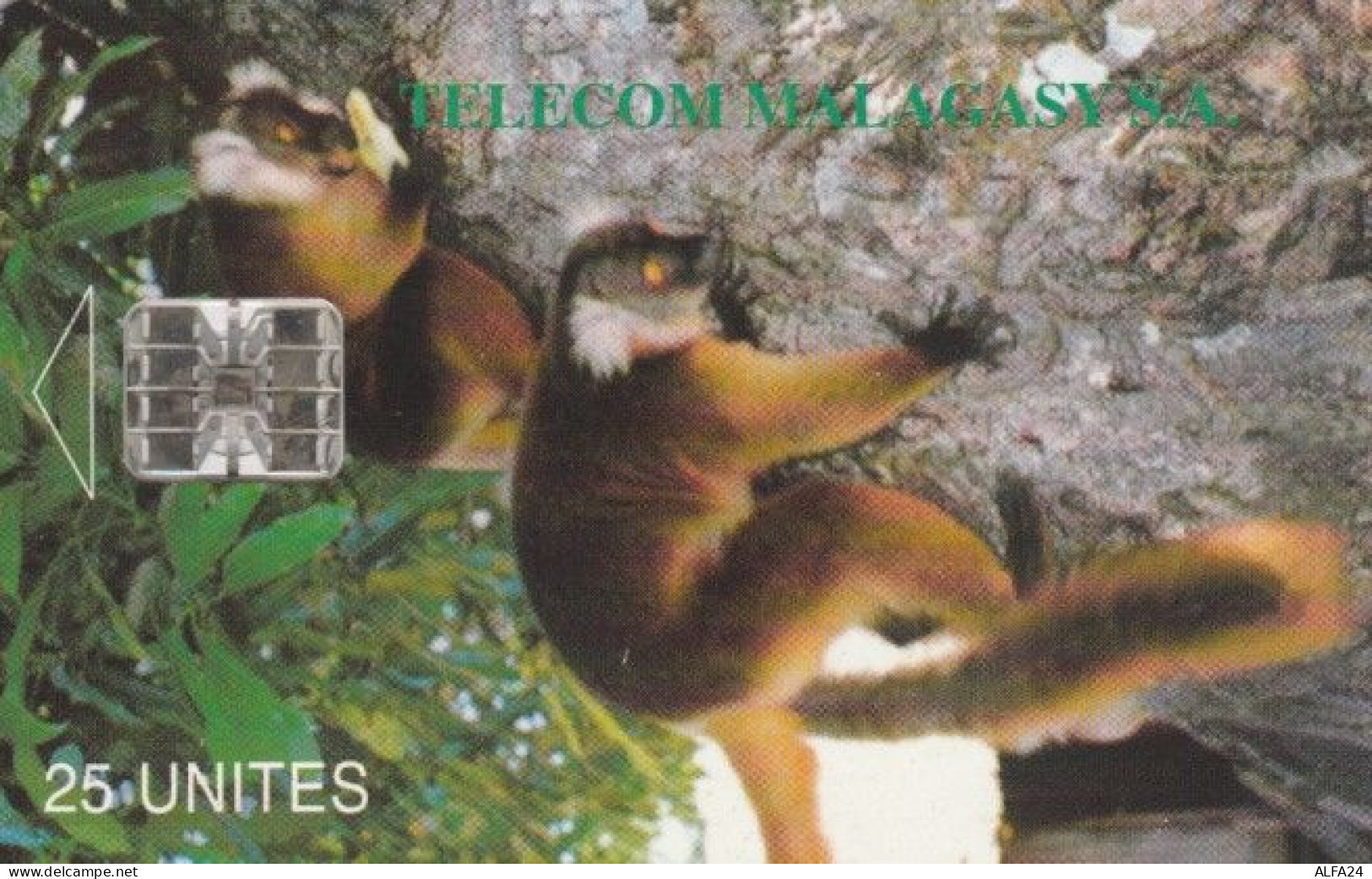 PHONE CARD MADAGASCAR (E59.20.3 - Madagaskar