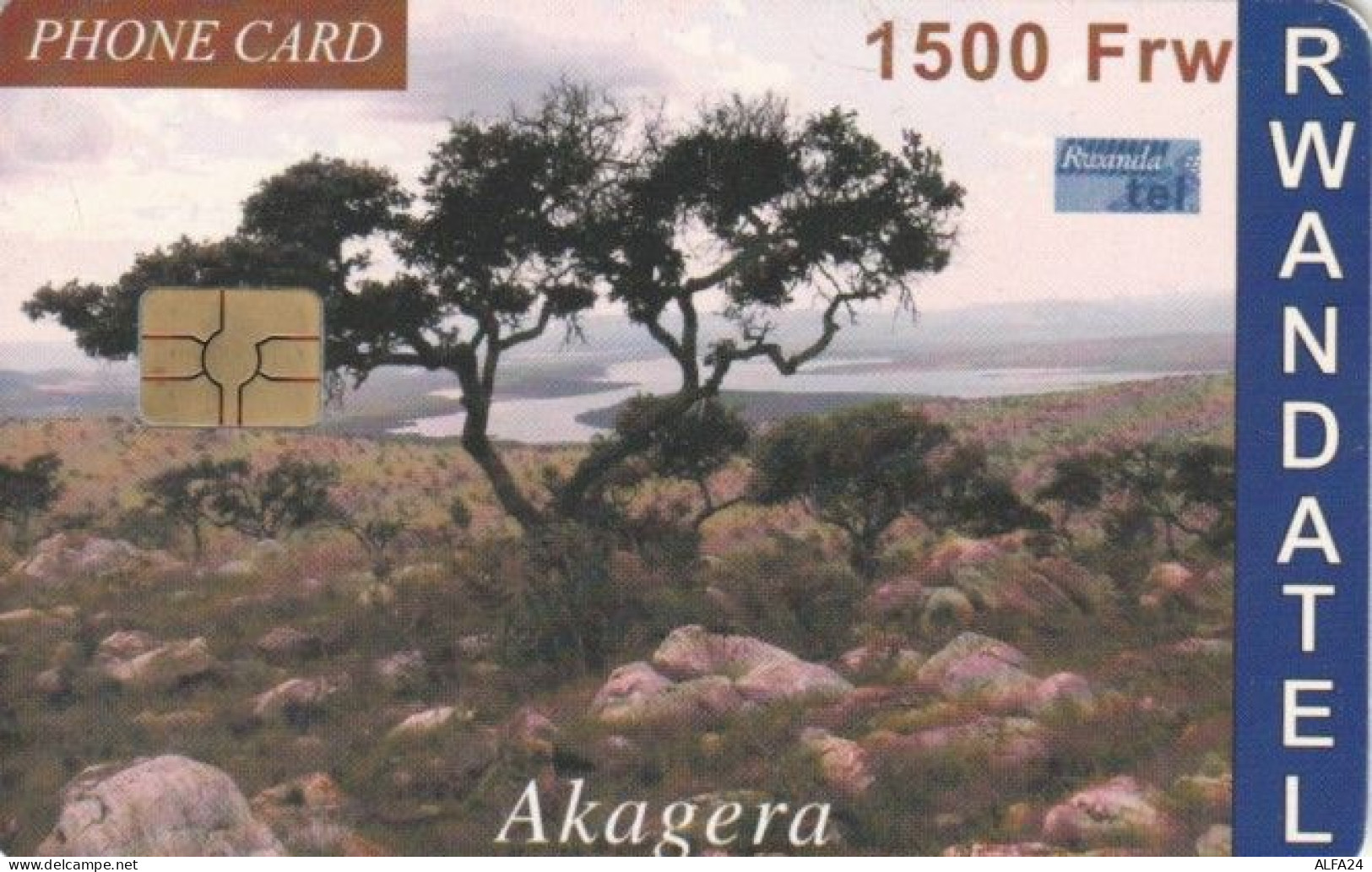 PHONE CARD RWANDA (E59.16.8 - Ruanda