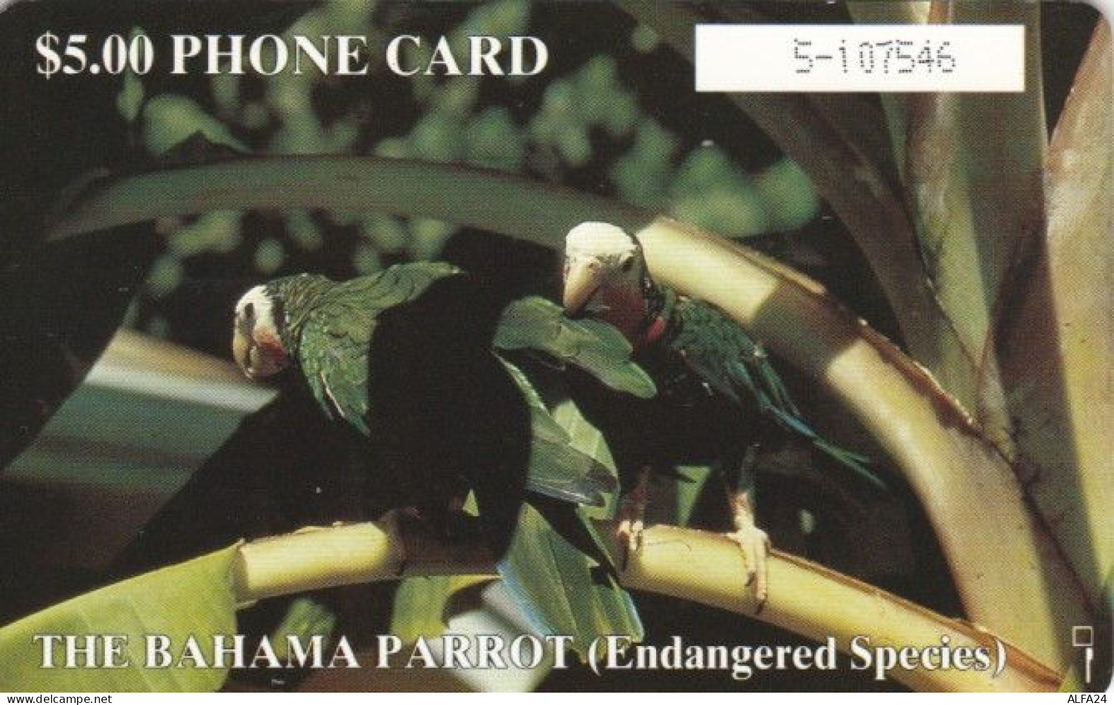 PHONE CARD BAHAMAS (E60.4.3 - Bahama's